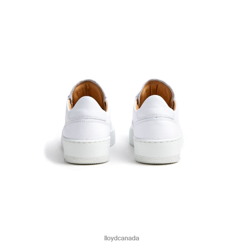 LOW TOP LEATHER SNEAKERS LLOYD Women white R084ZF765 Shoes