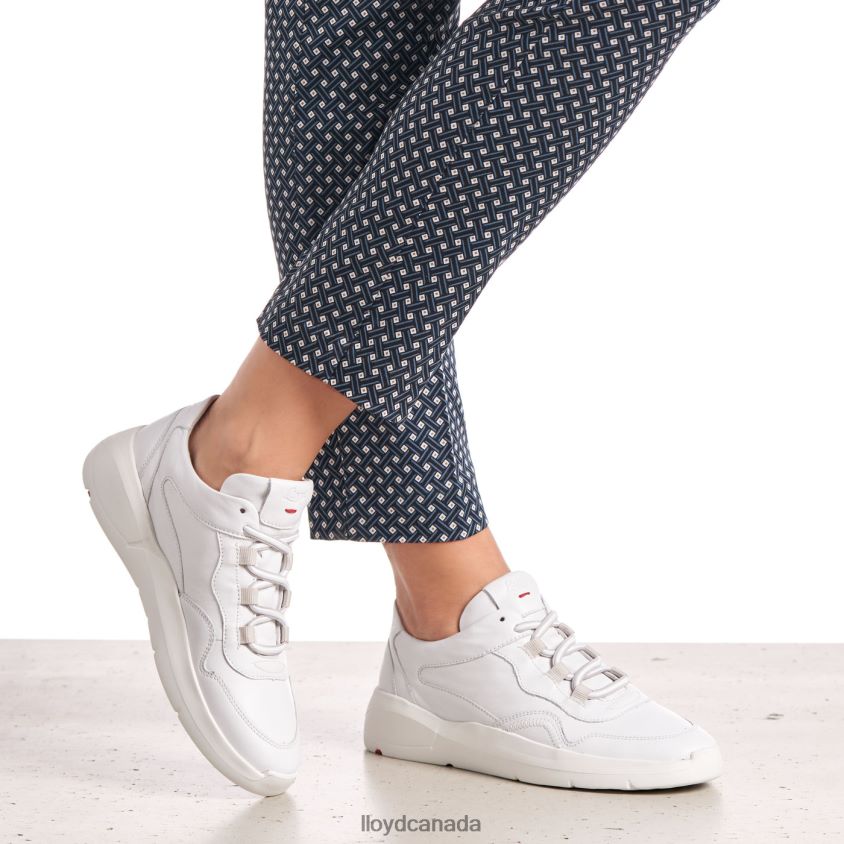 LOW TOP LEATHER SNEAKERS LLOYD Women white R084ZF829 Shoes