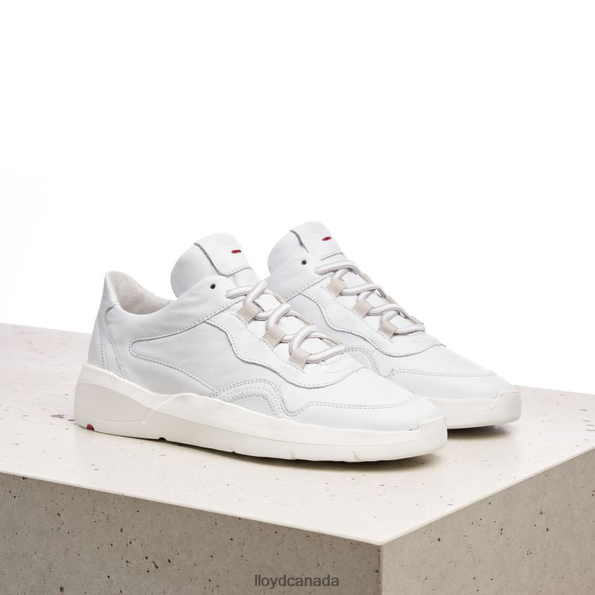 LOW TOP LEATHER SNEAKERS LLOYD Women white R084ZF829 Shoes