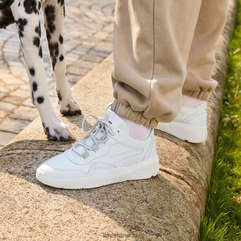 LOW TOP LEATHER SNEAKERS LLOYD Women white R084ZF829 Shoes