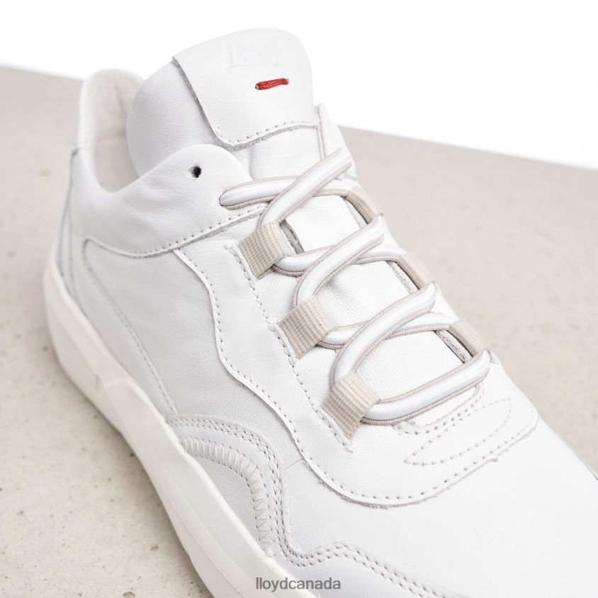 LOW TOP LEATHER SNEAKERS LLOYD Women white R084ZF829 Shoes