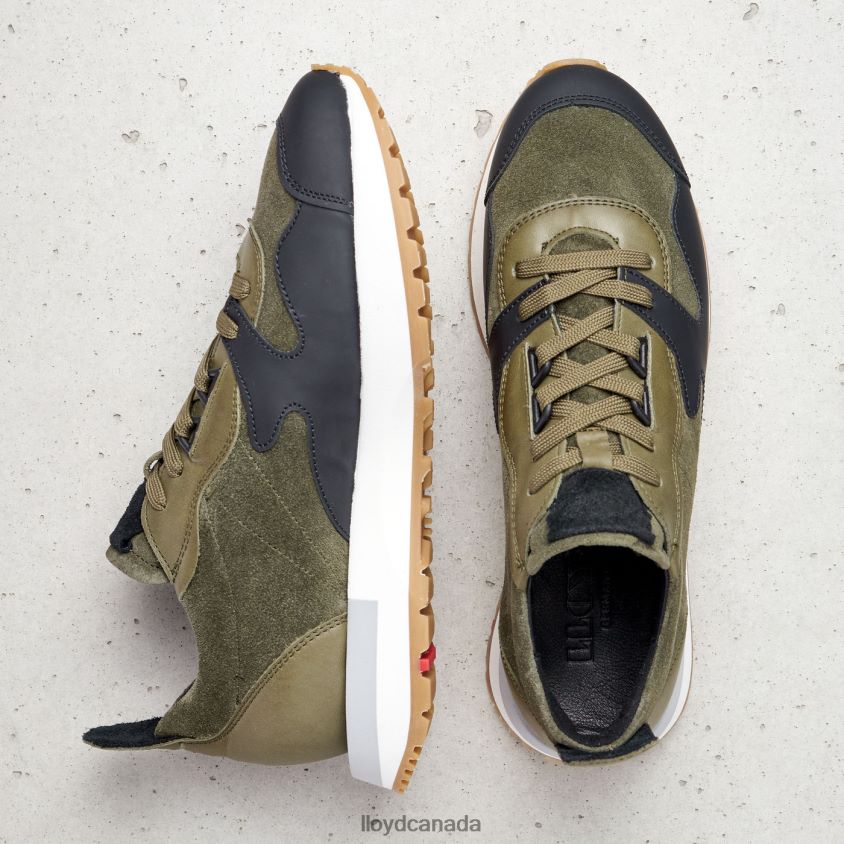 LOW TOP SNEAKERS LLOYD Women green R084ZF773 Shoes