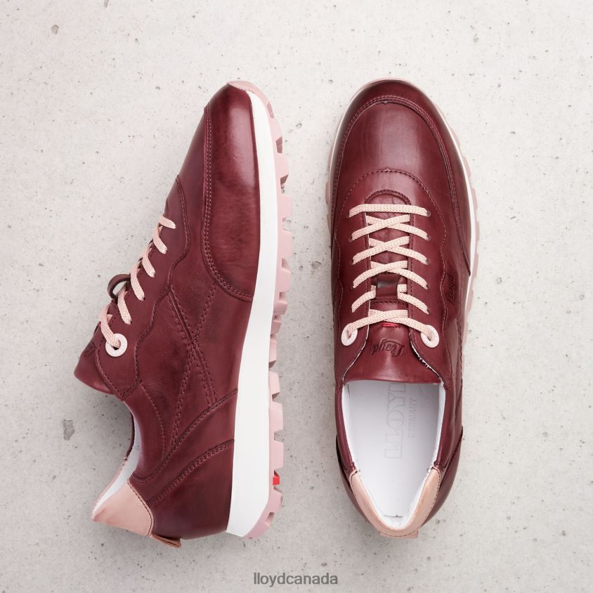 LOW-TOP SNEAKERS LLOYD Women red R084ZF803 Shoes
