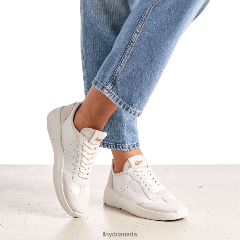 LOW-TOP SNEAKERS LLOYD Women white R084ZF827 Shoes