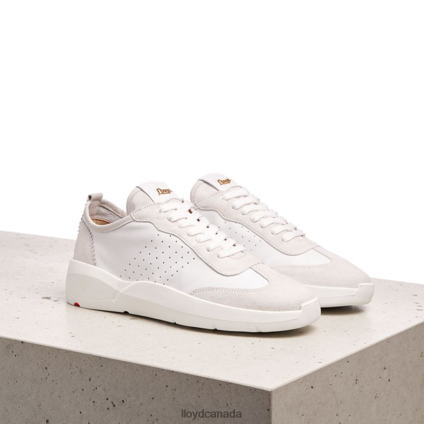 LOW-TOP SNEAKERS LLOYD Women white R084ZF827 Shoes
