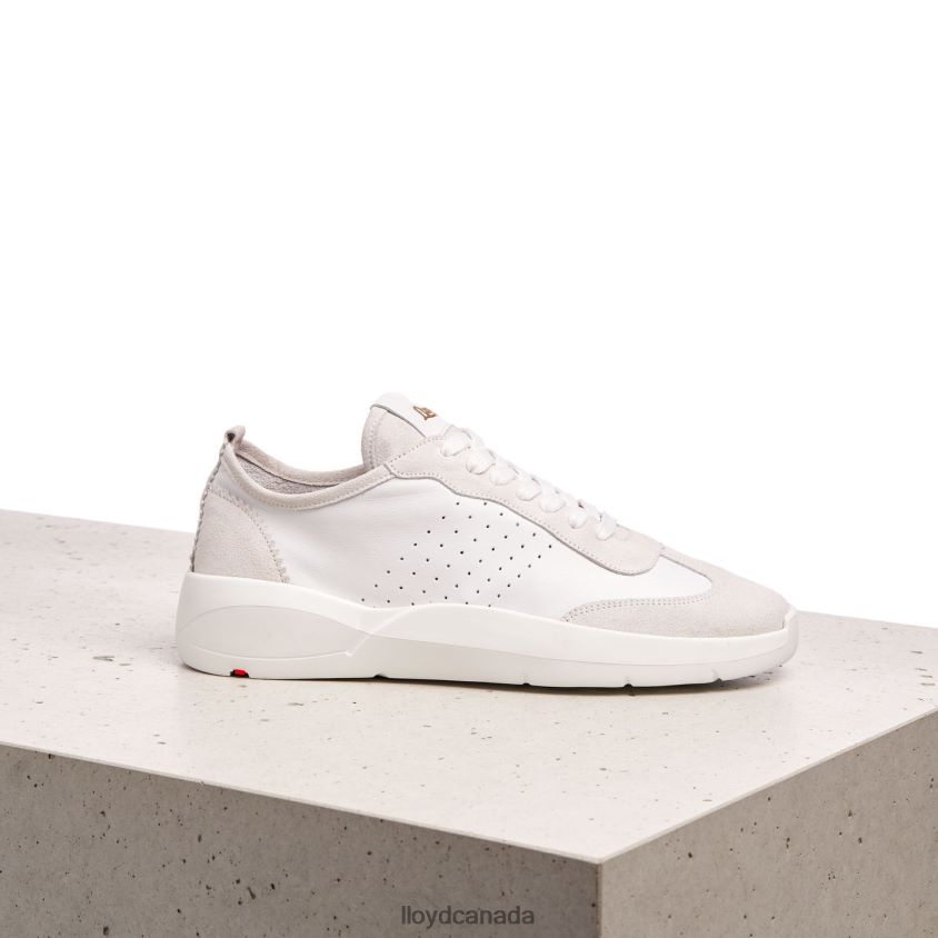 LOW-TOP SNEAKERS LLOYD Women white R084ZF827 Shoes
