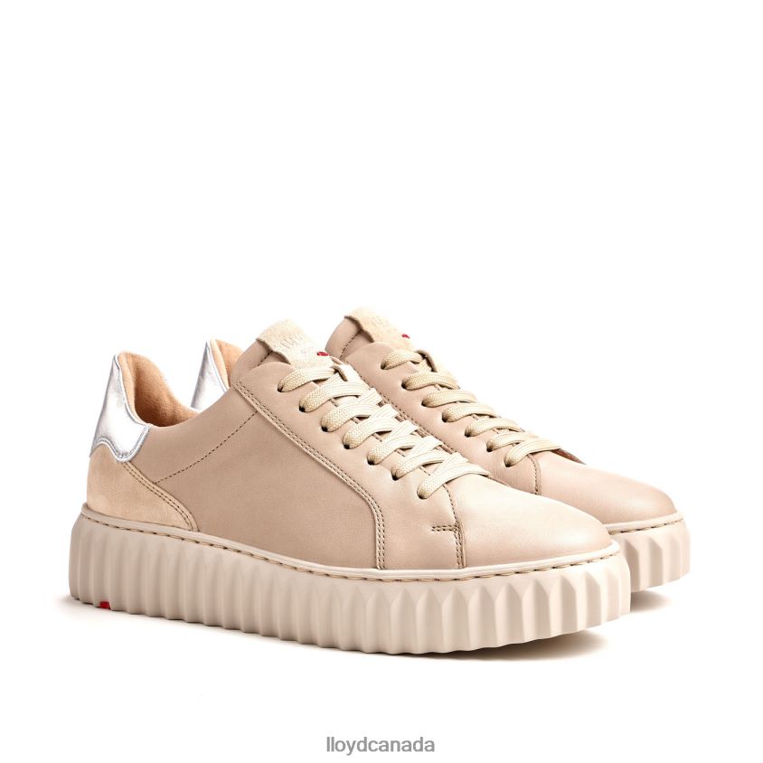 LOW TOP SNEAKER LLOYD Women beige R084ZF759 Shoes