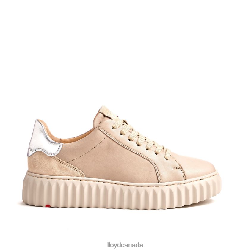LOW TOP SNEAKER LLOYD Women beige R084ZF759 Shoes