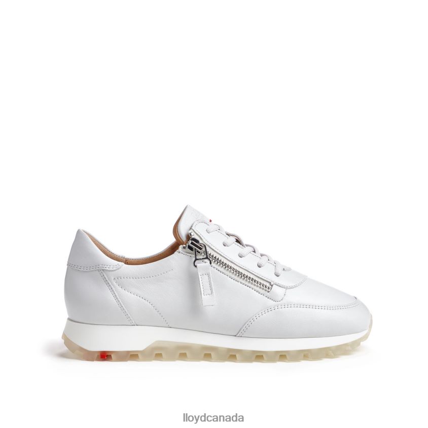 LOW TOP SNEAKER LLOYD Women white R084ZF758 Shoes