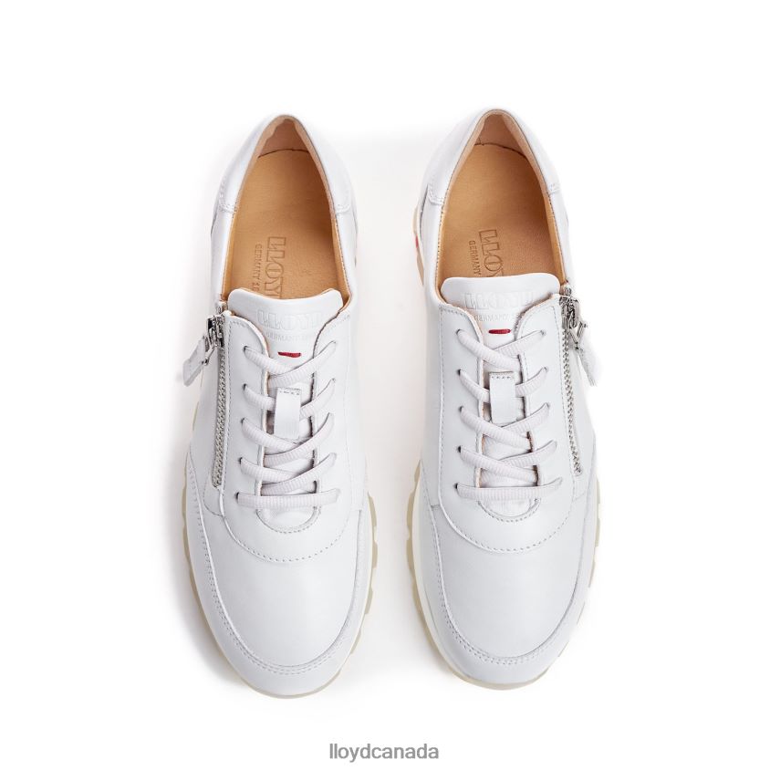 LOW TOP SNEAKER LLOYD Women white R084ZF758 Shoes