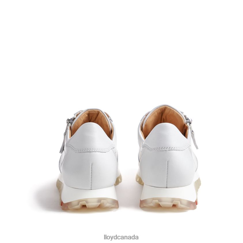 LOW TOP SNEAKER LLOYD Women white R084ZF758 Shoes