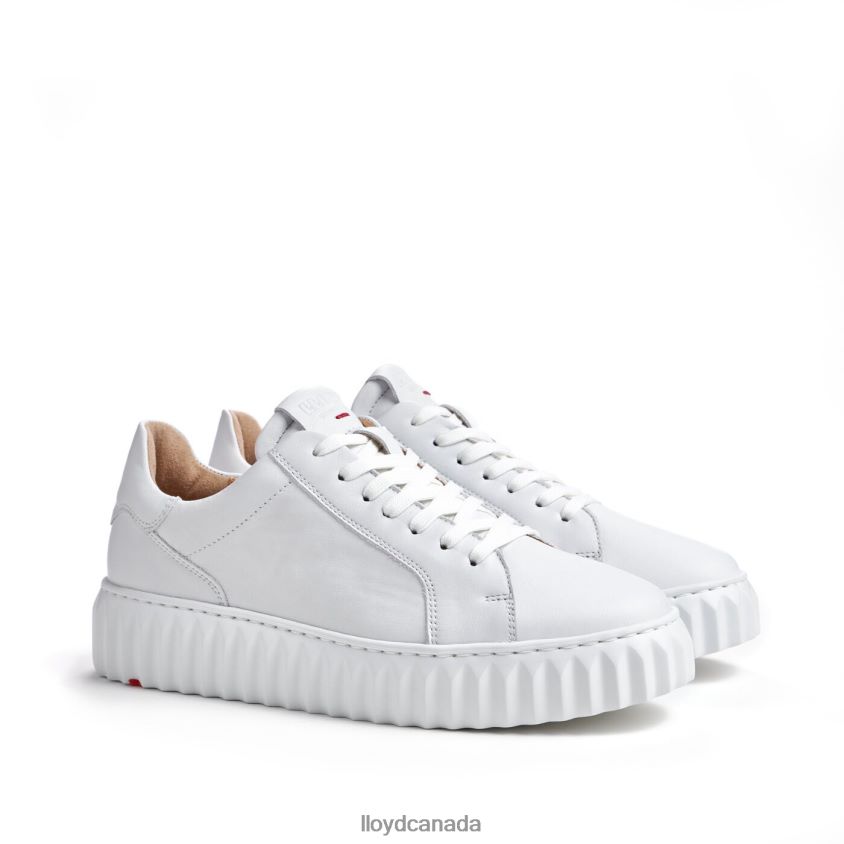 LOW TOP SNEAKER LLOYD Women white R084ZF761 Shoes