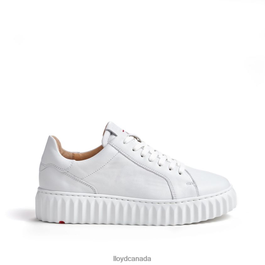 LOW TOP SNEAKER LLOYD Women white R084ZF761 Shoes