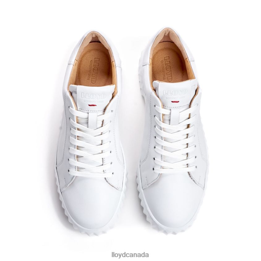 LOW TOP SNEAKER LLOYD Women white R084ZF761 Shoes
