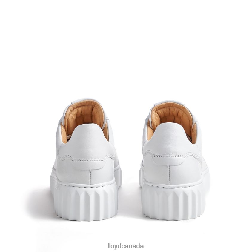 LOW TOP SNEAKER LLOYD Women white R084ZF761 Shoes