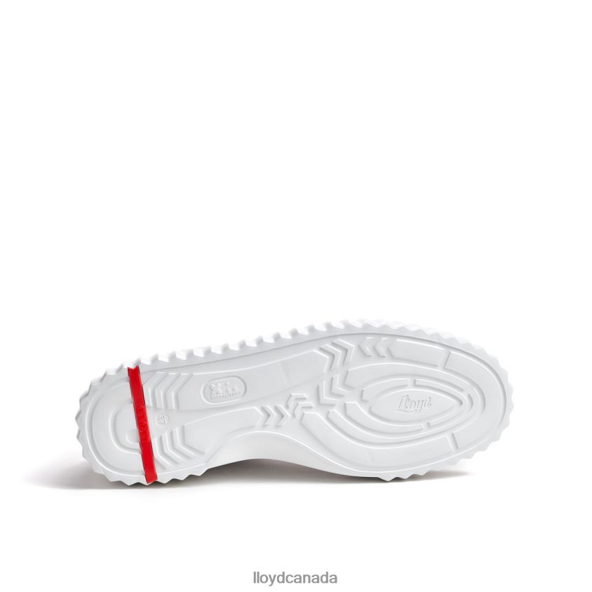 LOW TOP SNEAKER LLOYD Women white R084ZF761 Shoes