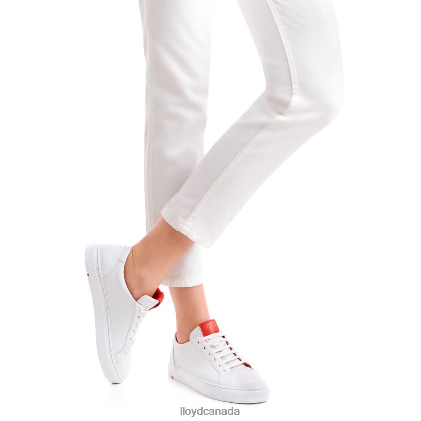 LOW TOP SNEAKER LLOYD Women white R084ZF786 Shoes