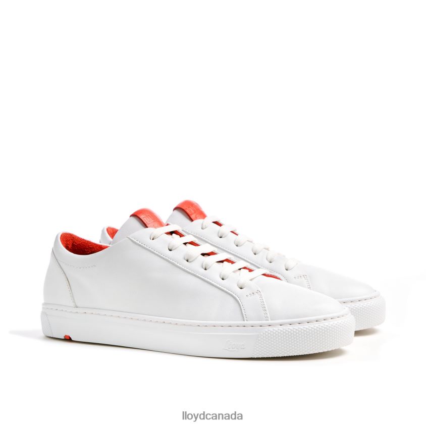 LOW TOP SNEAKER LLOYD Women white R084ZF786 Shoes