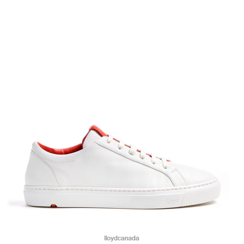 LOW TOP SNEAKER LLOYD Women white R084ZF786 Shoes