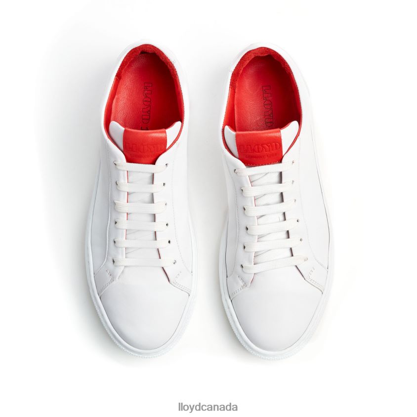 LOW TOP SNEAKER LLOYD Women white R084ZF786 Shoes