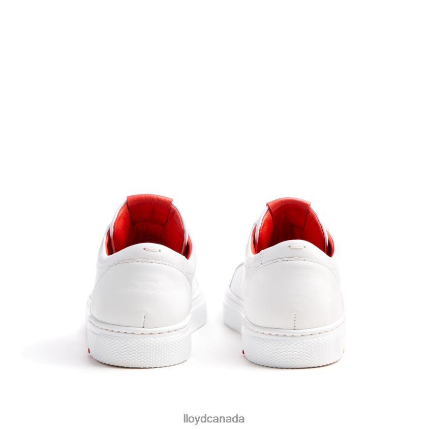 LOW TOP SNEAKER LLOYD Women white R084ZF786 Shoes