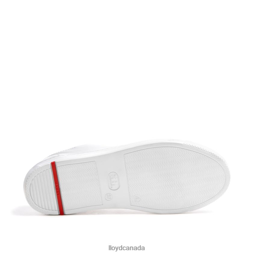 LOW TOP SNEAKER LLOYD Women white R084ZF786 Shoes
