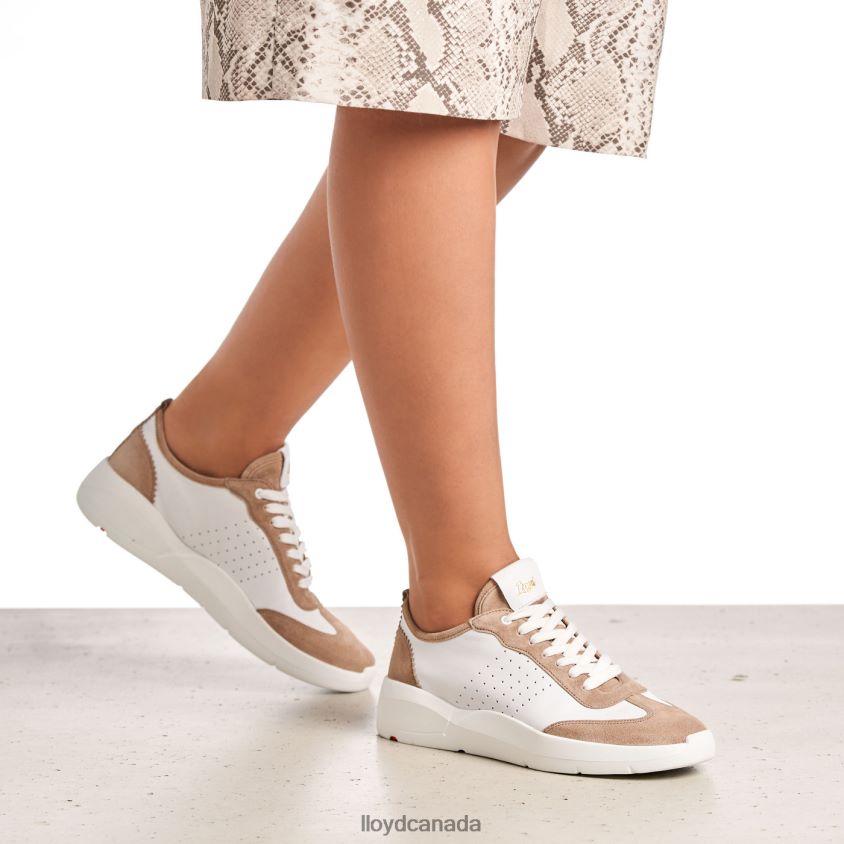 QUALITY LOW TOP SNEAKERS LLOYD Women beige R084ZF1353 Shoes