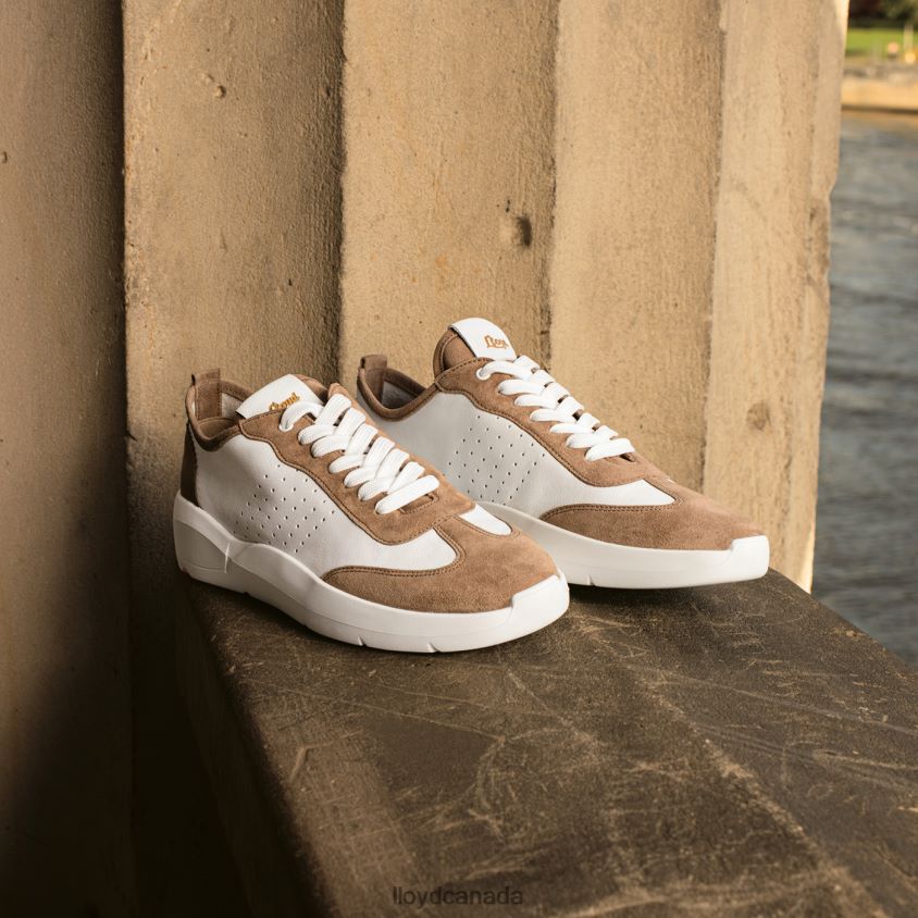 QUALITY LOW TOP SNEAKERS LLOYD Women beige R084ZF1353 Shoes