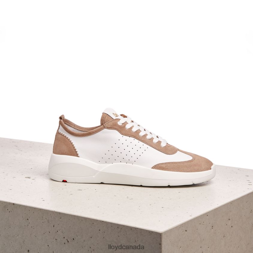 QUALITY LOW TOP SNEAKERS LLOYD Women beige R084ZF1353 Shoes