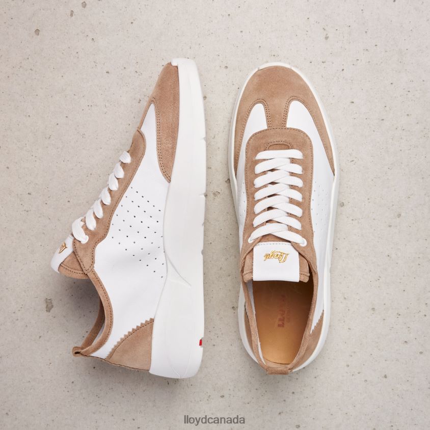 QUALITY LOW TOP SNEAKERS LLOYD Women beige R084ZF1353 Shoes