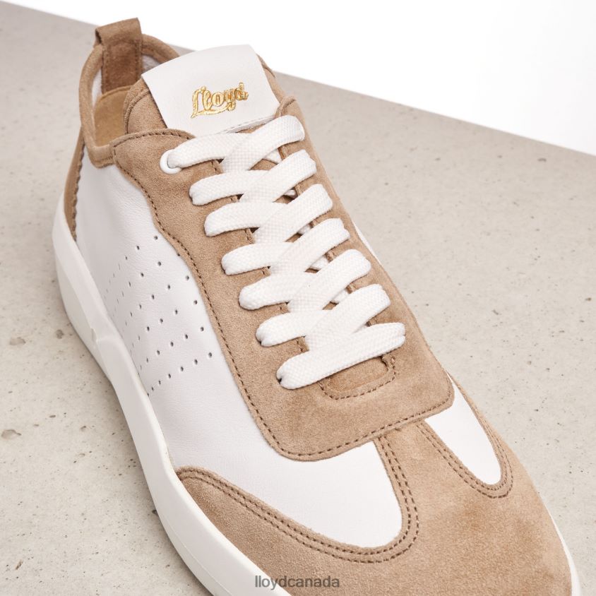 QUALITY LOW TOP SNEAKERS LLOYD Women beige R084ZF1353 Shoes
