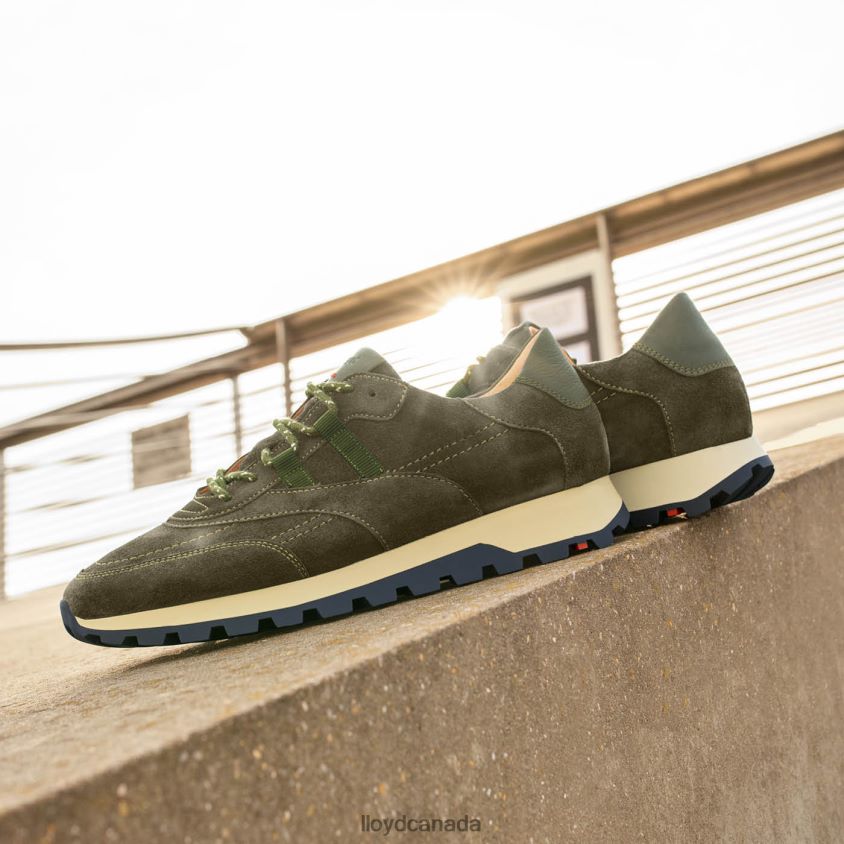 QUALITY LOW TOP SNEAKERS LLOYD Women green R084ZF857 Shoes