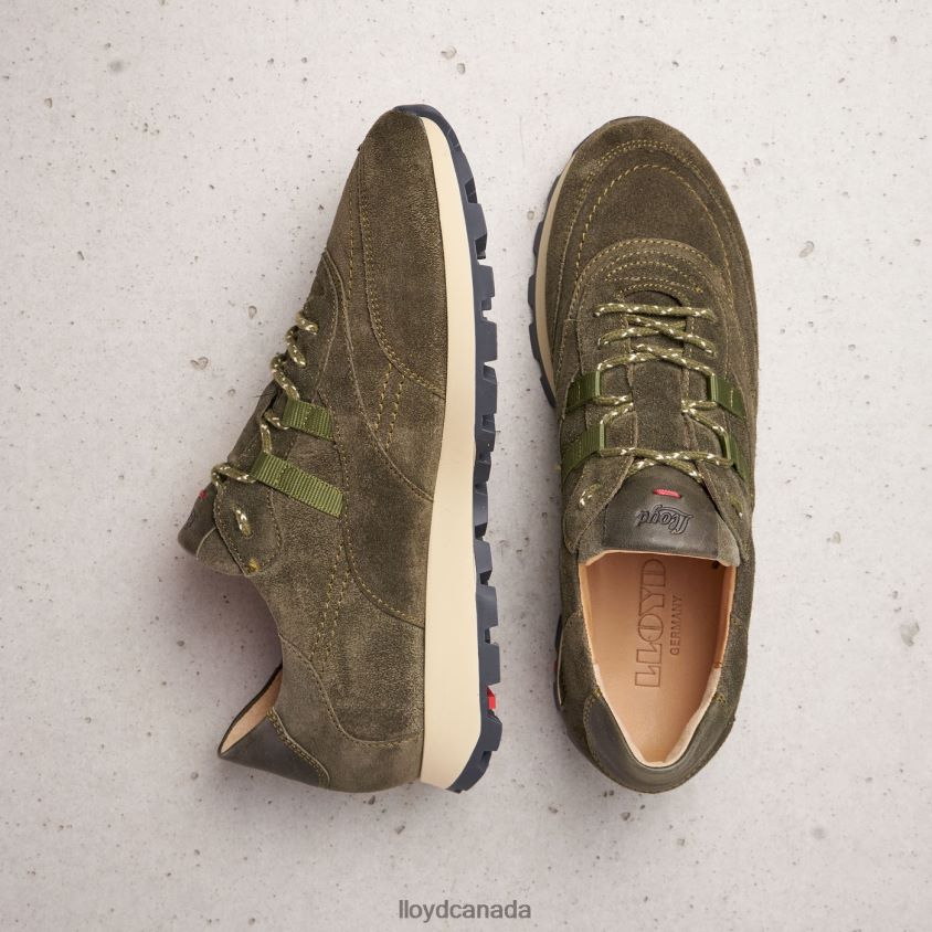 QUALITY LOW TOP SNEAKERS LLOYD Women green R084ZF857 Shoes