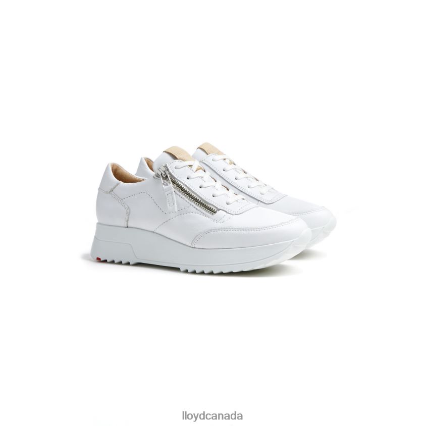 QUALITY LOW TOP SNEAKERS LLOYD Women white R084ZF784 Shoes