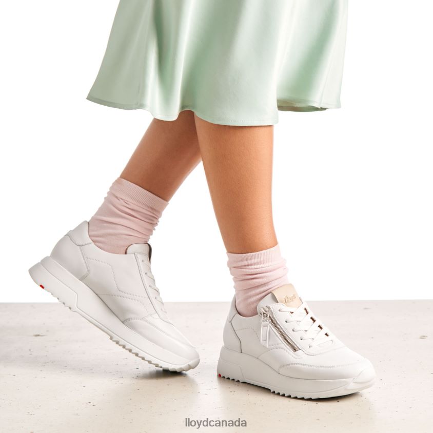 QUALITY LOW TOP SNEAKERS LLOYD Women white R084ZF784 Shoes