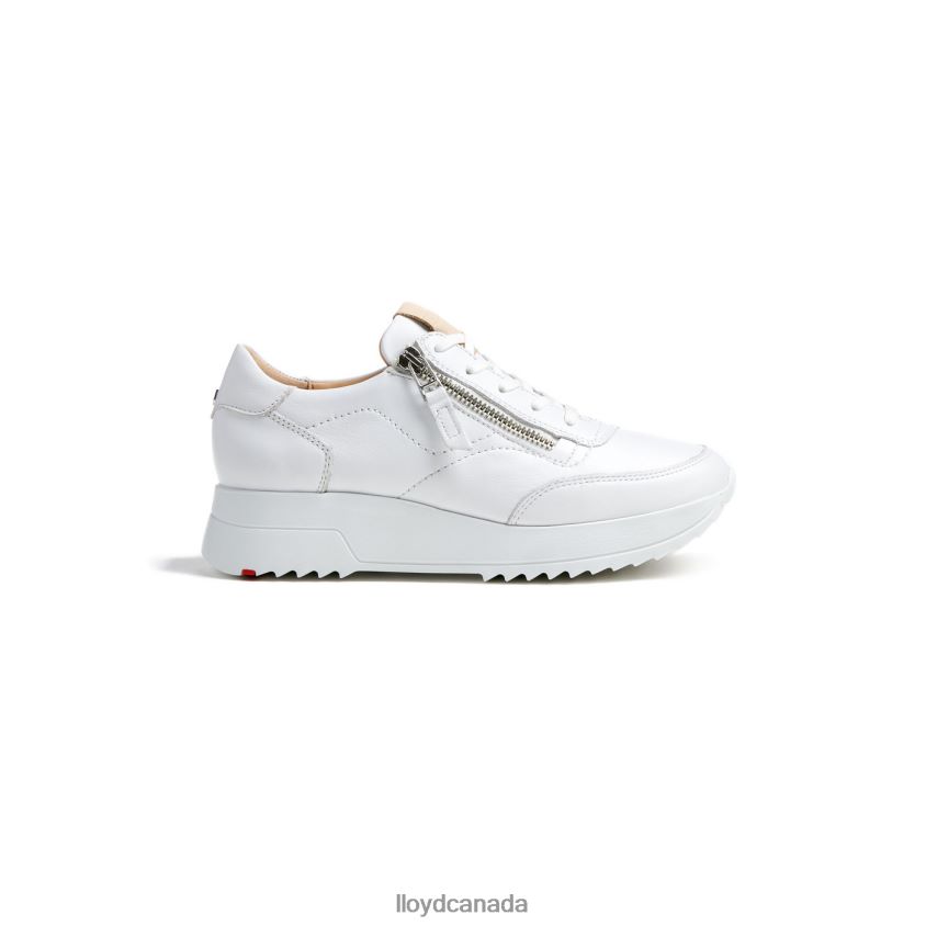 QUALITY LOW TOP SNEAKERS LLOYD Women white R084ZF784 Shoes
