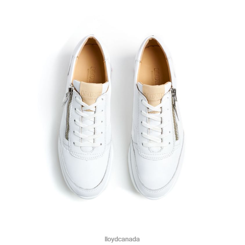 QUALITY LOW TOP SNEAKERS LLOYD Women white R084ZF784 Shoes