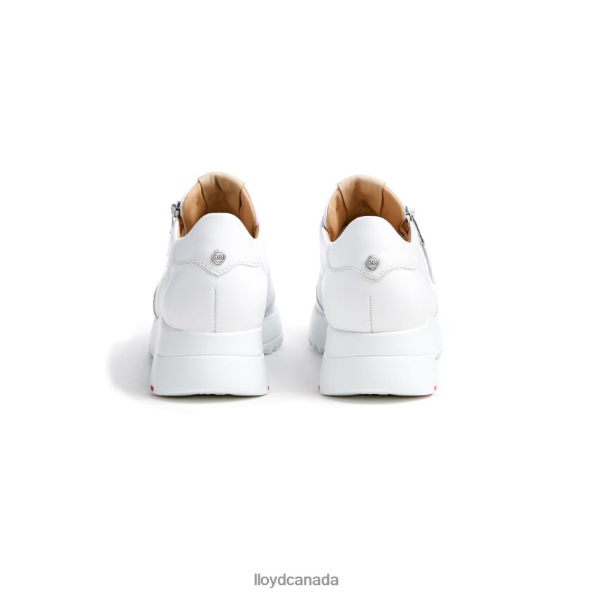 QUALITY LOW TOP SNEAKERS LLOYD Women white R084ZF784 Shoes