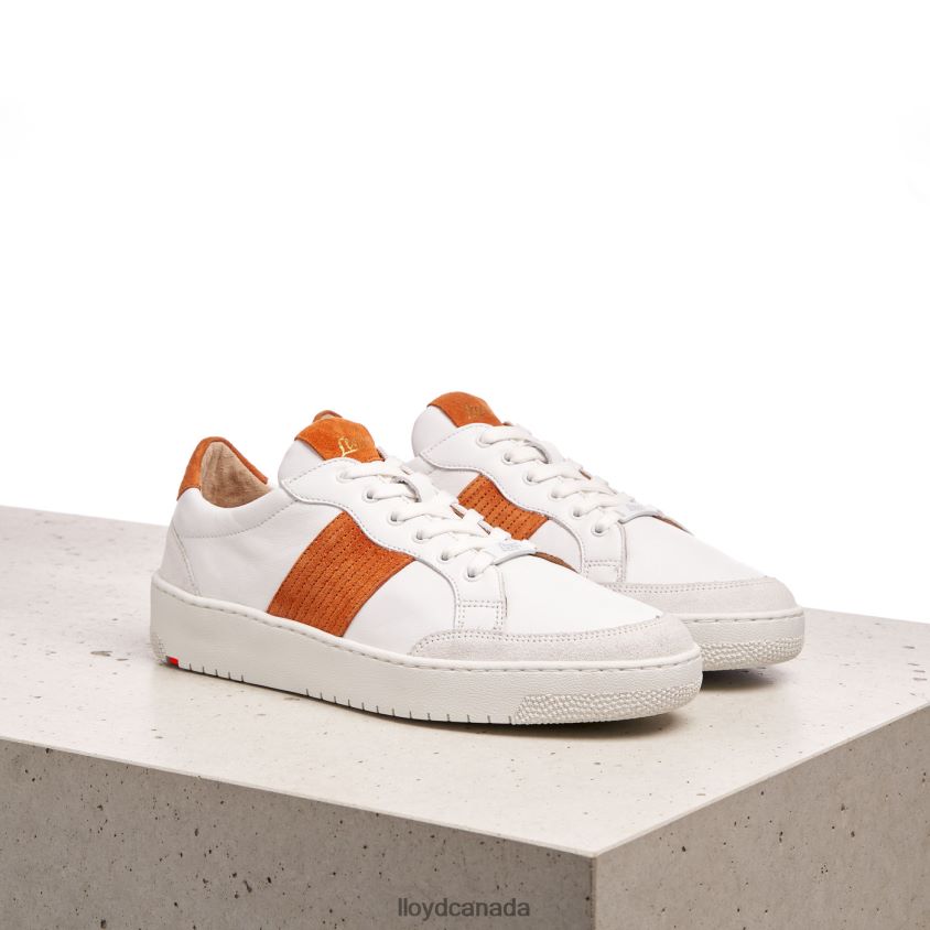 QUALITY LOW TOP SNEAKERS LLOYD Women white R084ZF831 Shoes