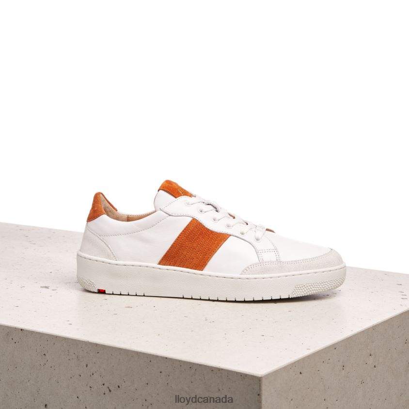 QUALITY LOW TOP SNEAKERS LLOYD Women white R084ZF831 Shoes