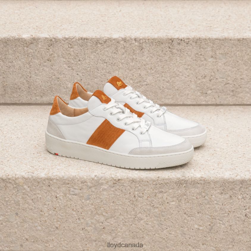QUALITY LOW TOP SNEAKERS LLOYD Women white R084ZF831 Shoes