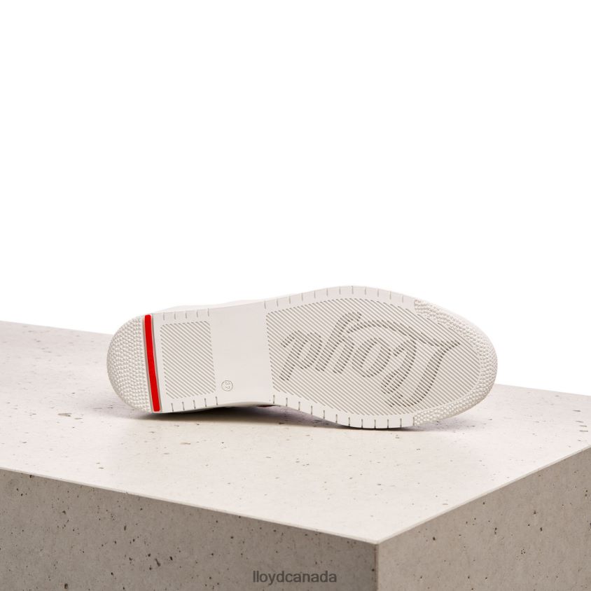 QUALITY LOW TOP SNEAKERS LLOYD Women white R084ZF831 Shoes