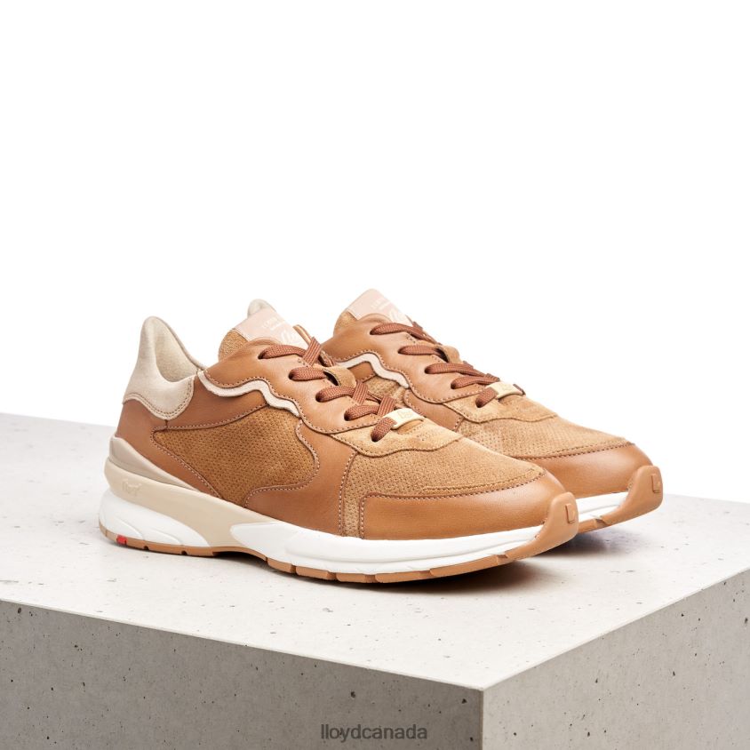 SHEEP LEATHER SNEAKERS LLOYD Women brown R084ZF804 Shoes
