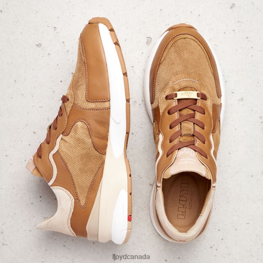 SHEEP LEATHER SNEAKERS LLOYD Women brown R084ZF804 Shoes
