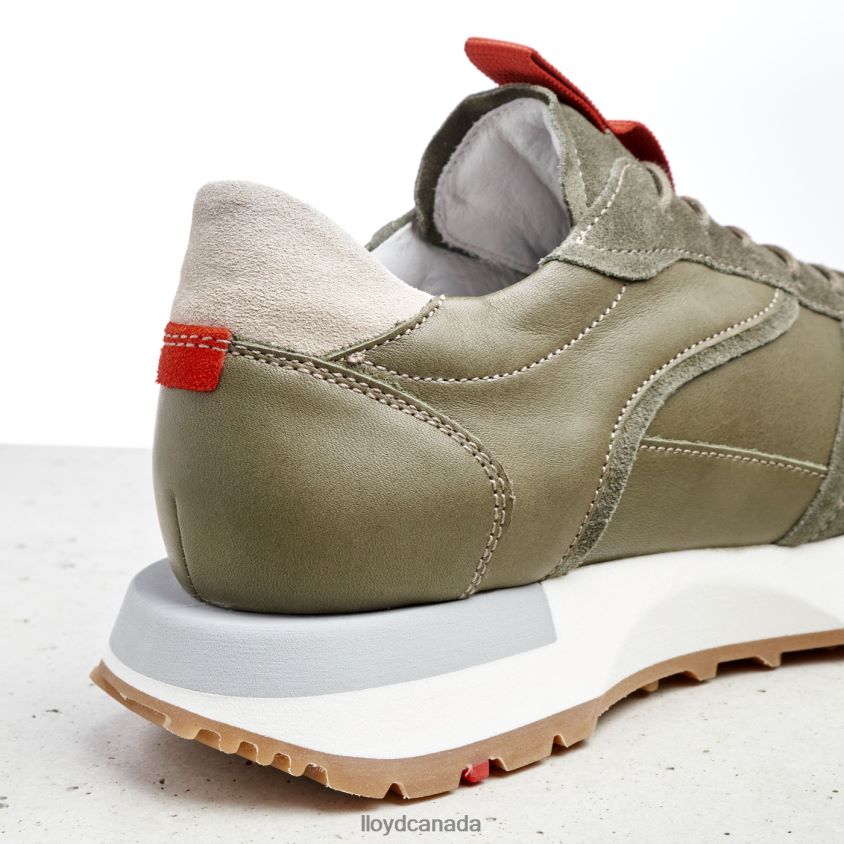 SHEEP LEATHER SNEAKERS LLOYD Women combined R084ZF836 Shoes