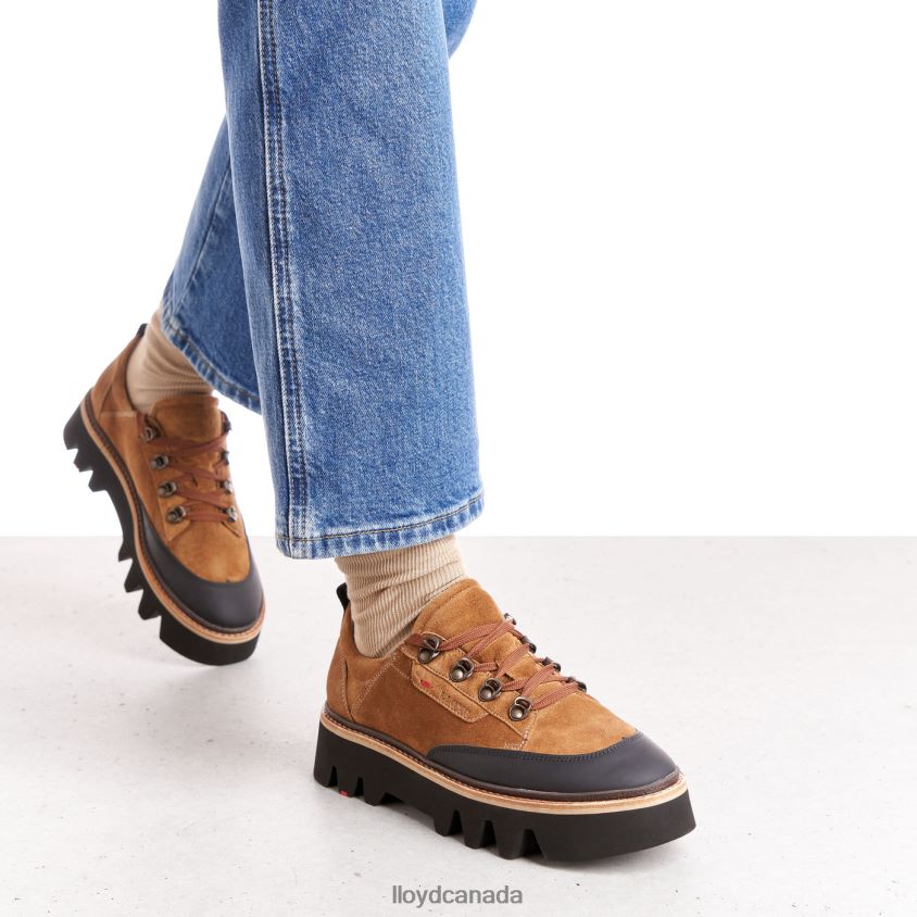 SMOOTH LEATHER SNEAKERS LLOYD Women brown R084ZF1176 Shoes