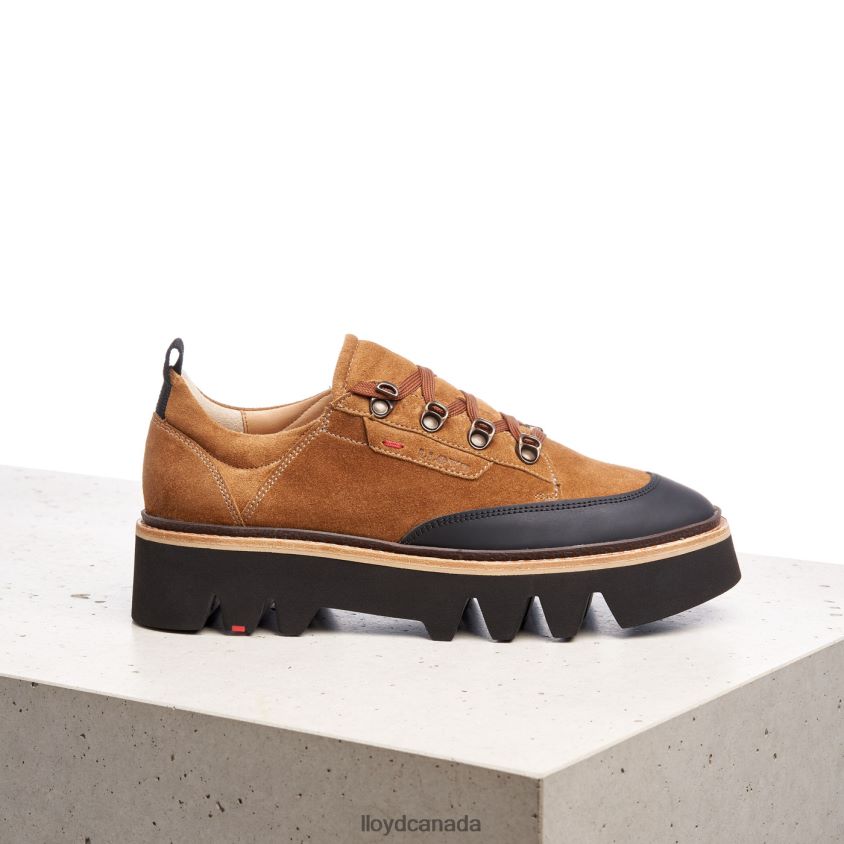 SMOOTH LEATHER SNEAKERS LLOYD Women brown R084ZF1176 Shoes