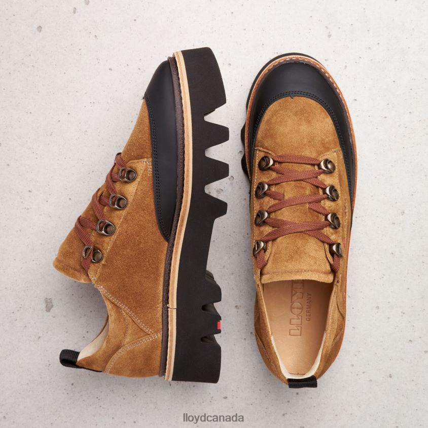 SMOOTH LEATHER SNEAKERS LLOYD Women brown R084ZF1176 Shoes