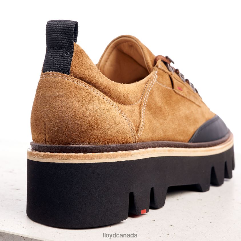 SMOOTH LEATHER SNEAKERS LLOYD Women brown R084ZF1176 Shoes