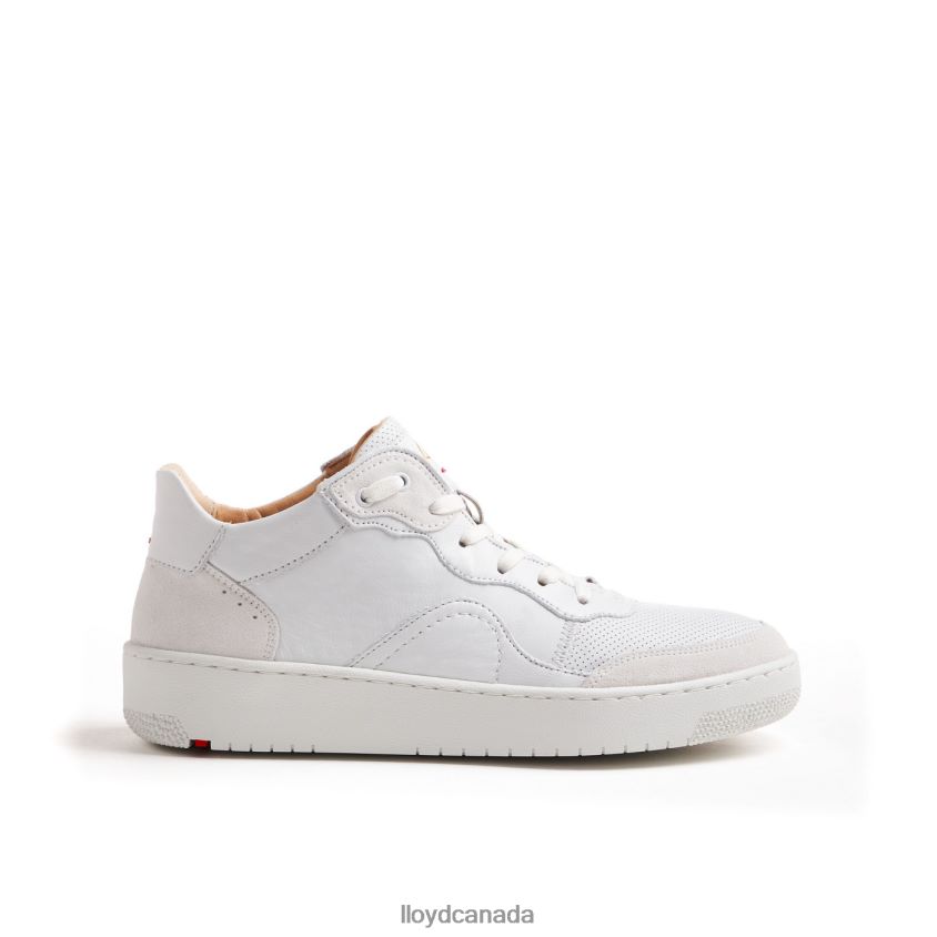 SMOOTH LEATHER SNEAKERS LLOYD Women white R084ZF756 Shoes